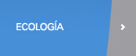 Faqs