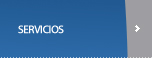 Servicios